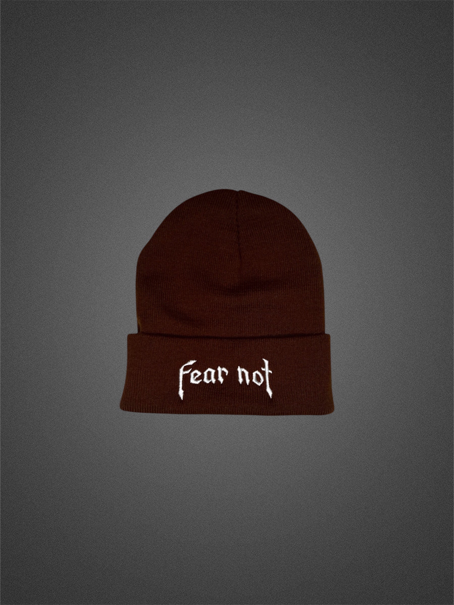 FEAR NOT Beanie