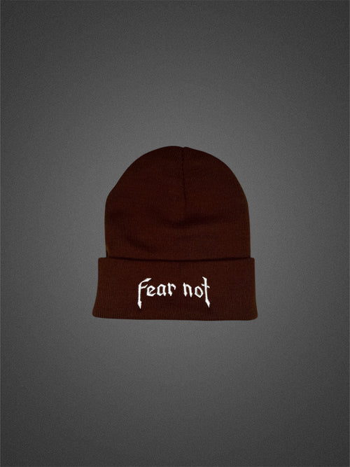 FEAR NOT Beanie
